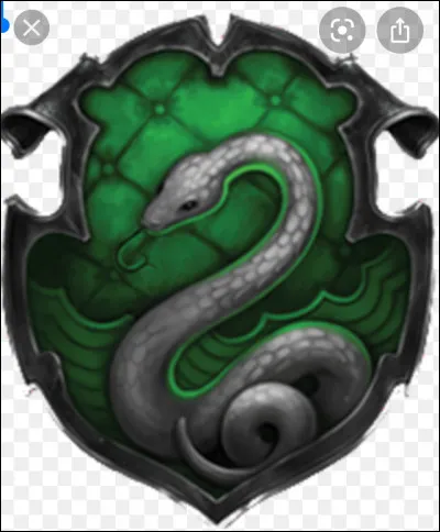 Dans quelle maison veux-tu aller ?