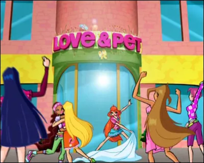 Tu d&eacute;cides d'ouvrir une animalerie avec tes amies, de quoi te charges-tu ?