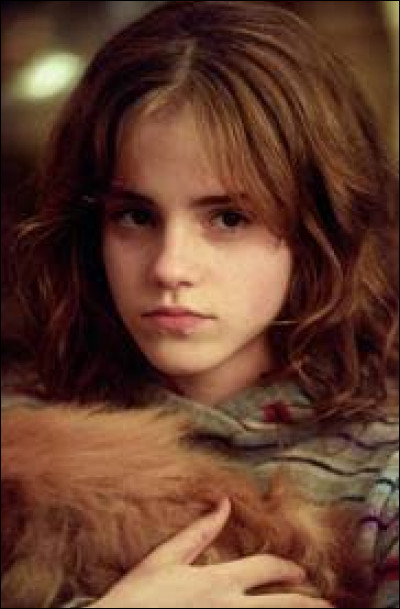 Durant ses années scolaires, à un certain moment, Hermione était amoureuse de Harry.