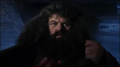 Hagrid a été renvoyé de Poudlard lors de sa cinquième année.