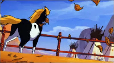 À qui appartient ce cheval ?