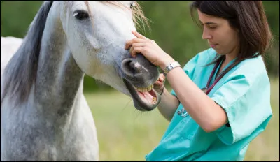 &Agrave; la fin de ta sieste il t'emm&egrave;ne chez le v&eacute;t&eacute;rinaire. Que fais tu ?
