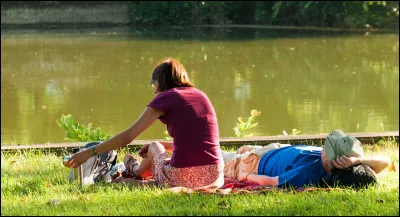 Quand vous voulez vous changer les idées...