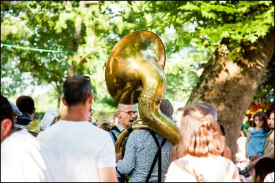 Vos amis vous décrivent comme quelqu'un qui...