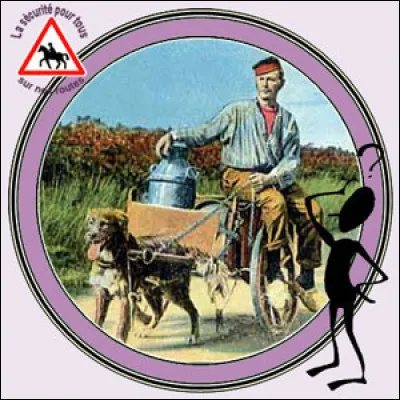 Cet ensemble est un véhicule hippomobile.