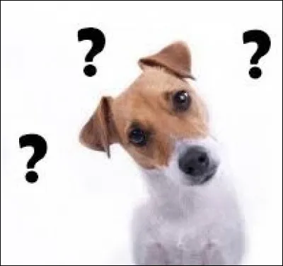 Animaux - Lequel de ces animaux ne possède pas d'ossicônes ?