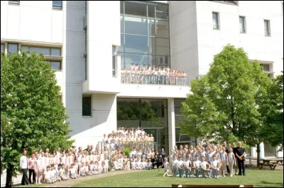 Combien y a-t-il d'échelons dans la hiérarchie du ballet de l'Opéra de Paris ?