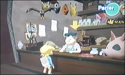 Que fait de vos photos le gars de la galerie près de l'île de la forêt ?