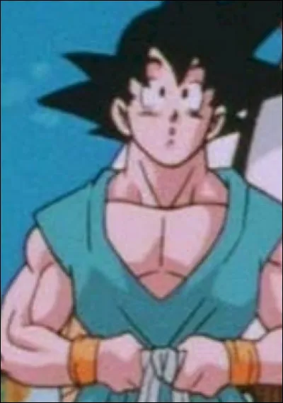 Qui est le nouveau héros ?