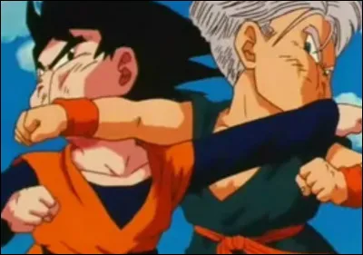 Au tournoi, qui gagne entre Goten et Trunks ?