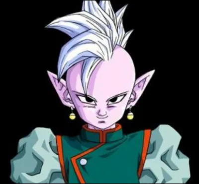 Quel est le nom français de Kaïo Shin ?