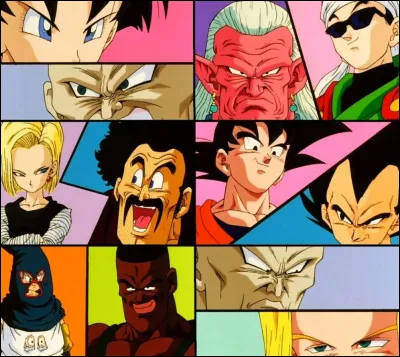 Qui gagne le Championnat du Monde ?