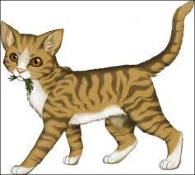 Le guérisseur de l'autre clan est malade, ils retiennent un apprenti et il demande de l'herbe à chat en échange, pour le libérer. Que fais-tu ?