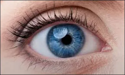 De quelle couleur tes yeux sont-ils ?