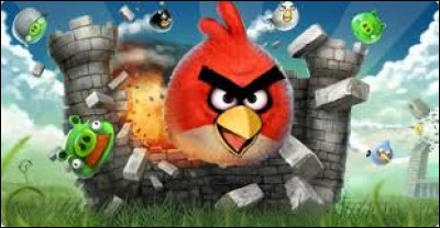 Que veut dire "Angry Birds" en français ?