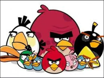 Quel oiseau manque-t-il sur la photo ?