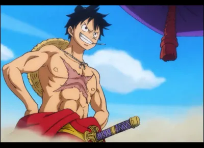 Quel fruit a mangé Luffy ?