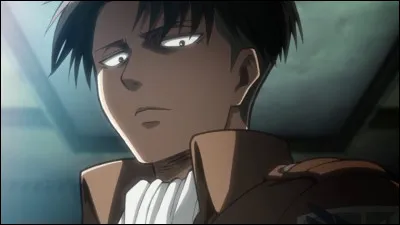 Quelle est la taille de Livai ?