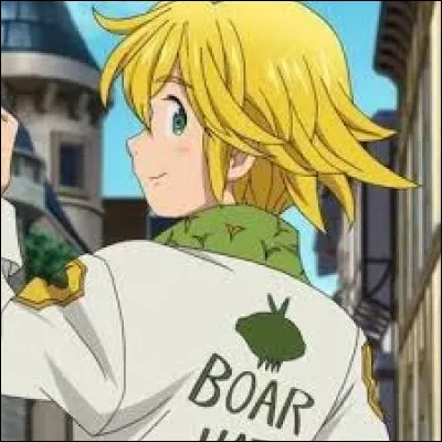 Quel est le pêché de Meliodas ?