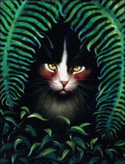 De quelle couleur est le pelage de Petite Oreille ?