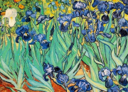 Quiz Van Gogh - 20 toiles clbres