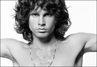 Qui a chanté "Spanish Caravan" ? (Caravane espagnole)