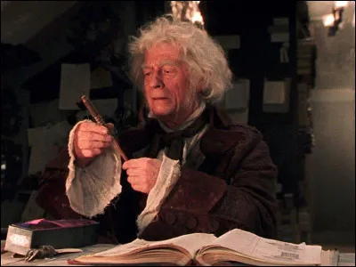 Ollivander : "Quel sort préfèrez-vous lancer ?"
Toi : "Eh bien j'adore les..."