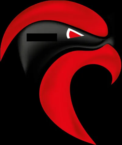 Quelle ville est correctement associée à son club de handball (logo ci-dessus) évoluant en D2 masculine ?