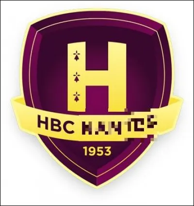 Quelle ville est correctement associée à son club de handball (logo ci-dessus) évoluant en D1 masculine ?