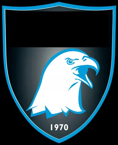 Quelle ville est correctement associée à son club de handball (logo ci-dessus) évoluant en D2 masculine ?