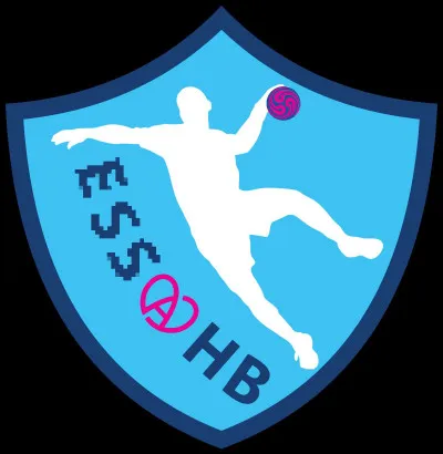 Quelle ville est correctement associée à son club de handball (logo ci-dessus) évoluant en D2 masculine ?