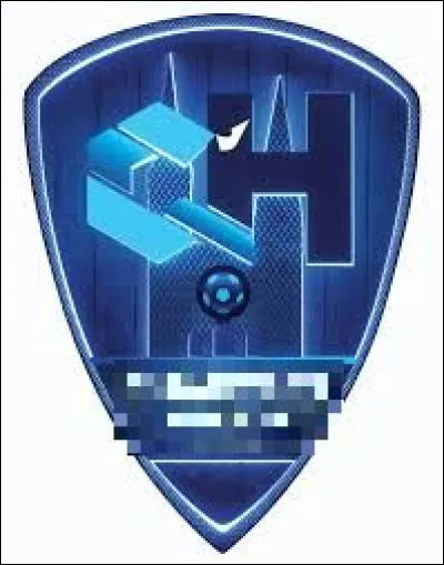 Quelle ville est correctement associée à son club de handball (logo ci-dessus) évoluant en D1 masculine ?