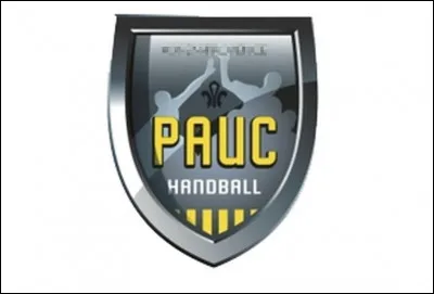 Quelle ville est correctement associée à son club de handball (logo ci-dessus) évoluant en D1 masculine ?