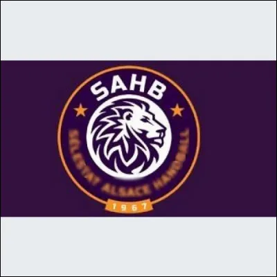 Quelle ville est correctement associée à son club de handball (logo ci-dessus) évoluant en D2 masculine ?