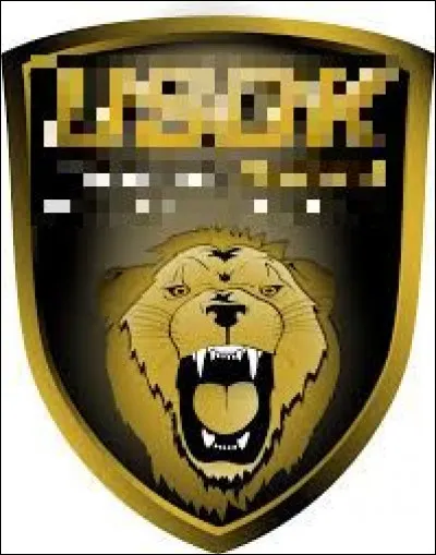 Quelle ville est correctement associée à son club de handball (logo ci-dessus) évoluant en D1 masculine ?