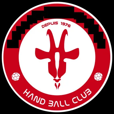 Quelle ville est correctement associée à son club de handball (logo ci-dessus) évoluant en D2 féminine ?