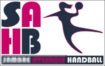 Quelle ville est correctement associée à son club de handball (logo ci-dessus) évoluant en D2 féminine ?