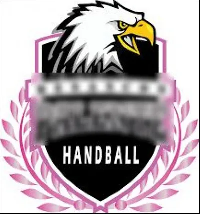 Quelle ville est correctement associée à son club de handball (logo ci-dessus) évoluant en D2 féminine ?