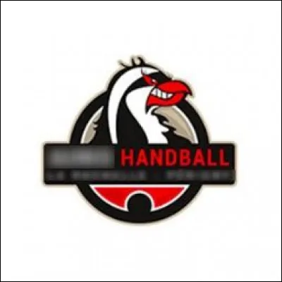 Quelle ville est correctement associée à son club de handball (logo ci-dessus) évoluant en D2 féminine ?