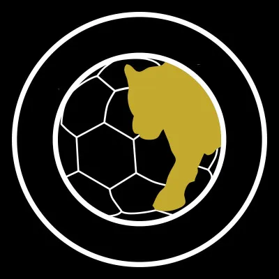 Quelle ville est correctement associée à son club de handball (logo ci-dessus) évoluant en D1 féminine ?