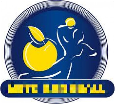 Quelle ville est correctement associée à son club de handball (logo ci-dessus) évoluant en D1 féminine ?
