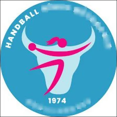 Quelle ville est correctement associée à son club de handball (logo ci-dessus) évoluant en D2 féminine ?