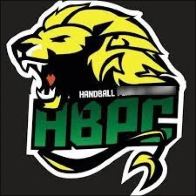 Quelle ville est correctement associée à son club de handball (logo ci-dessus) évoluant en D2 féminine ?