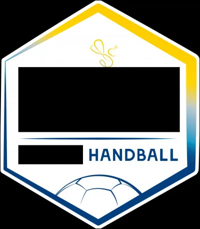 Quelle ville est correctement associée à son club de handball (logo ci-dessus) évoluant en D1 féminine ?