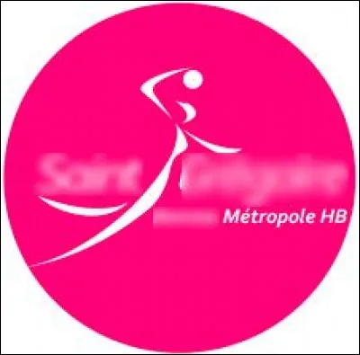 Quelle ville est correctement associée à son club de handball (logo ci-dessus) évoluant en D2 féminine ?