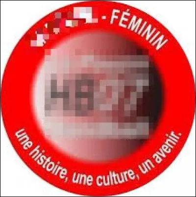 Quelle ville est correctement associée à son club de handball (logo ci-dessus) évoluant en D2 féminine ?