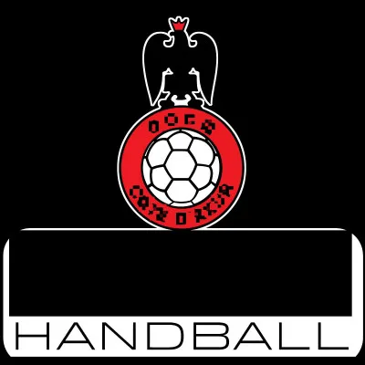 Quelle ville est correctement associée à son club de handball (logo ci-dessus) évoluant en D1 féminine ?