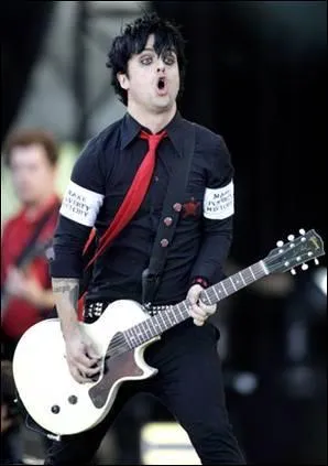 Lors de quelle tourne a eu lieu ce concert ?