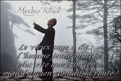 Quel proverbe vous d&eacute;finirait le mieux ?