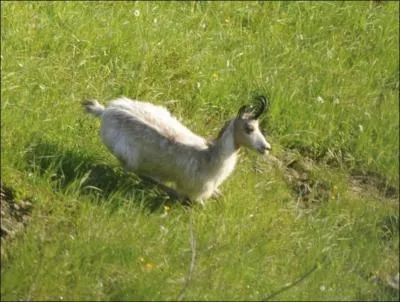 Qui est-ce ? Une beaut rare.